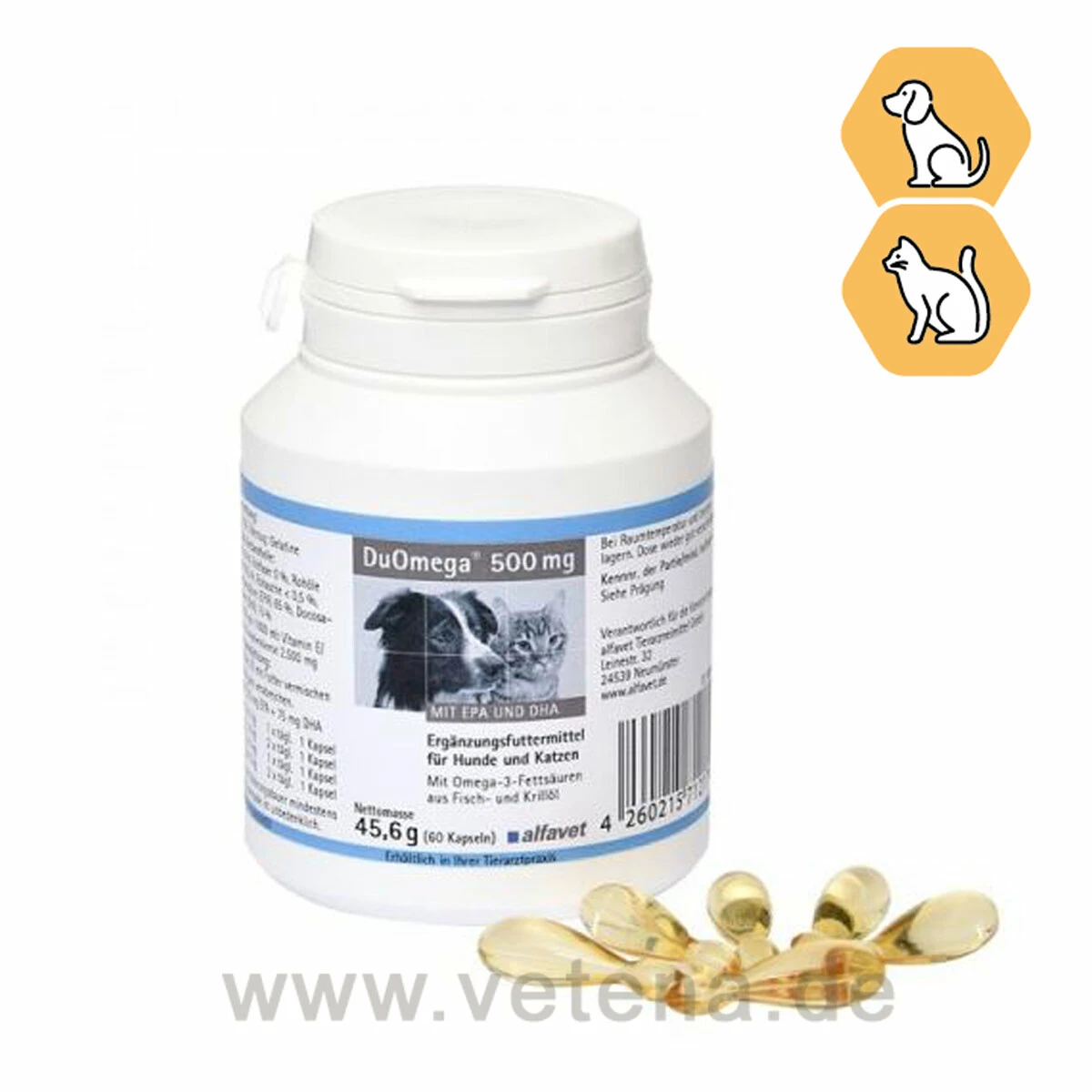 DuOmega Hund & Katze 1 DuOmega Hund & Katze