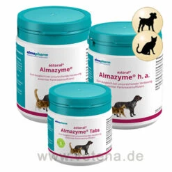 Astoral Almazyme Hund Und Katze