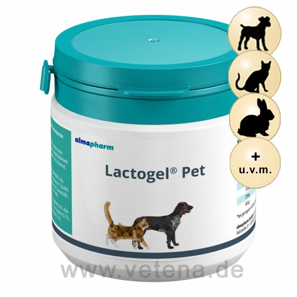 Lactogel Pet 1 Lactogel Pet