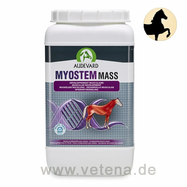 Audevard Myostem Mass Für Pferde 1 Audevard Myostem Mass Für Pferde