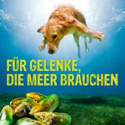 Boehringer Ingelheim Canosan Für Hunde -Geschäft Für Tierbedarf canosan hund boehringer ingelheim6