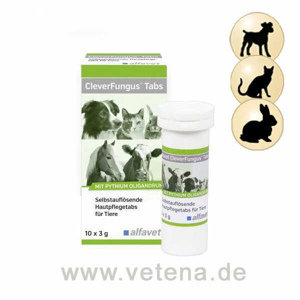 CleverFungus Tabs Heimtiere 1 CleverFungus Tabs Heimtiere