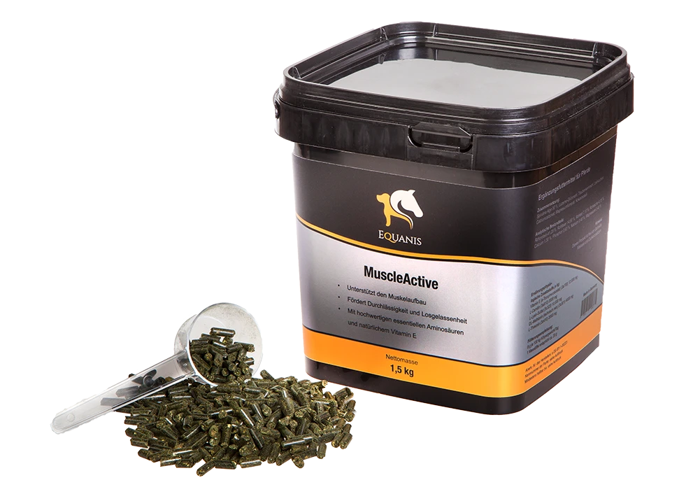 Equanis MuscleActive Für Pferde 2 Equanis MuscleActive Für Pferde – Bild 2