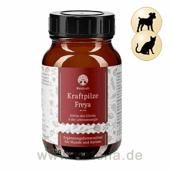Kraftpilze Freya - Vitalpilz Synergetikum Für Hunde & Katzen 1 Kraftpilze Freya - Vitalpilz Synergetikum Für Hunde & Katzen