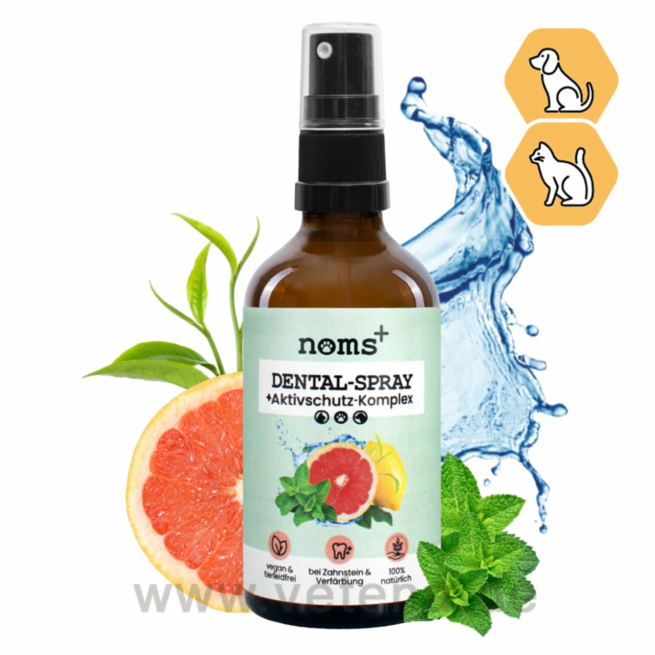 Noms+ Dental-Spray Für Hunde & Katzen 1 Noms+ Dental-Spray Für Hunde & Katzen