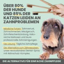 Noms+ Dental-Spray Für Hunde & Katzen 13 Noms+ Dental-Spray Für Hunde & Katzen -Geschäft Für Tierbedarf nomsplus dental spray hund katze5