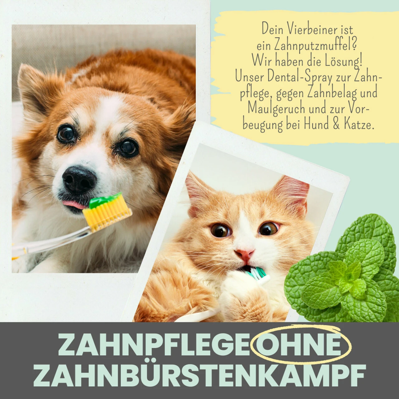 Noms+ Dental-Spray Für Hunde & Katzen 6 Noms+ Dental-Spray Für Hunde & Katzen – Bild 6