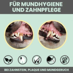 Noms+ Dental-Spray Für Hunde & Katzen 15 Noms+ Dental-Spray Für Hunde & Katzen -Geschäft Für Tierbedarf nomsplus dental spray hund katze7
