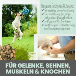 Noms+ Gelenkmix Für Hunde & Katzen -Geschäft Für Tierbedarf nomsplus gelenkmix hunde katzen4