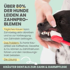 Noms+ Kräuter Dentals Für Hunde -Geschäft Für Tierbedarf nomsplus kraeuter dentals hunde4