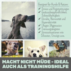 Noms+ Wohlfühlmix Für Hunde & Katzen -Geschäft Für Tierbedarf nomsplus wohlfuehlmix hunde katzen3