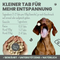 Noms+ Wohlfühltabs Für Hunde & Katzen -Geschäft Für Tierbedarf nomsplus wohlfuehltabs hund katze5