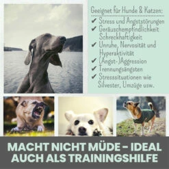 Noms+ Wohlfühltabs Für Hunde & Katzen -Geschäft Für Tierbedarf nomsplus wohlfuehltabs hund katze6
