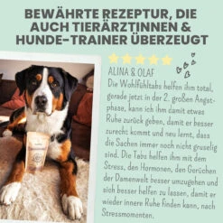 Noms+ Wohlfühltabs Für Hunde & Katzen -Geschäft Für Tierbedarf nomsplus wohlfuehltabs hund katze7