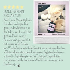 Noms+ Wohlfühltabs Für Hunde & Katzen -Geschäft Für Tierbedarf nomsplus wohlfuehltabs hund katze9