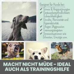 Noms+ Wohlfühlsnacks Für Hunde -Geschäft Für Tierbedarf nomsplus wohlfuehltabs hund katze 15