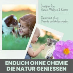 Noms+ Zistrosen Tabs Für Hunde & Katzen -Geschäft Für Tierbedarf nomsplus zistrosen tabs hunde katzen5