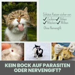 Noms+ Zpot-on Für Katzen -Geschäft Für Tierbedarf nomsplus zpot on katzen5