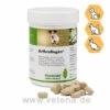 PlantaVet ArthroRegén Für Hunde, Katzen & Nager