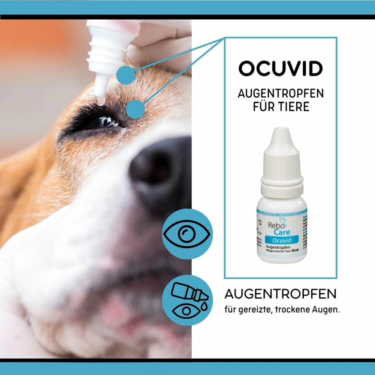 ReboCare Ocuvid Augentropfen Für Tiere 3 ReboCare Ocuvid Augentropfen Für Tiere – Bild 3