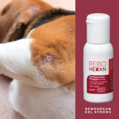 ReboHexan Gel Strong -Geschäft Für Tierbedarf rebohexan gel strong tiere4