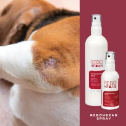 ReboHexan Spray -Geschäft Für Tierbedarf rebohexan spray tiere4