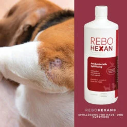 ReboHexan Spüllösung -Geschäft Für Tierbedarf rebohexan spuelloesung tiere4