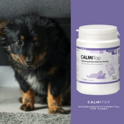 ReboVet CALMITop Für Hunde -Geschäft Für Tierbedarf rebopharm calmitop hund3