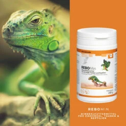 ReboVet REBOMin Für Vögel & Reptilien -Geschäft Für Tierbedarf rebopharm rebomin kleintier4