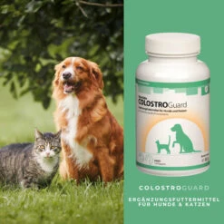 ReboTabs COLOSTROGuard Für Hunde & Katzen -Geschäft Für Tierbedarf rebotabs colostroguard4