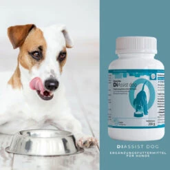 ReboTabs DiAssist Dog Für Hunde -Geschäft Für Tierbedarf rebotabs diassist dog4
