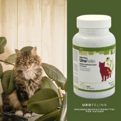 ReboTabs UroFelin Für Katzen 7 ReboTabs UroFelin Für Katzen -Geschäft Für Tierbedarf rebotabs urofelin katze4
