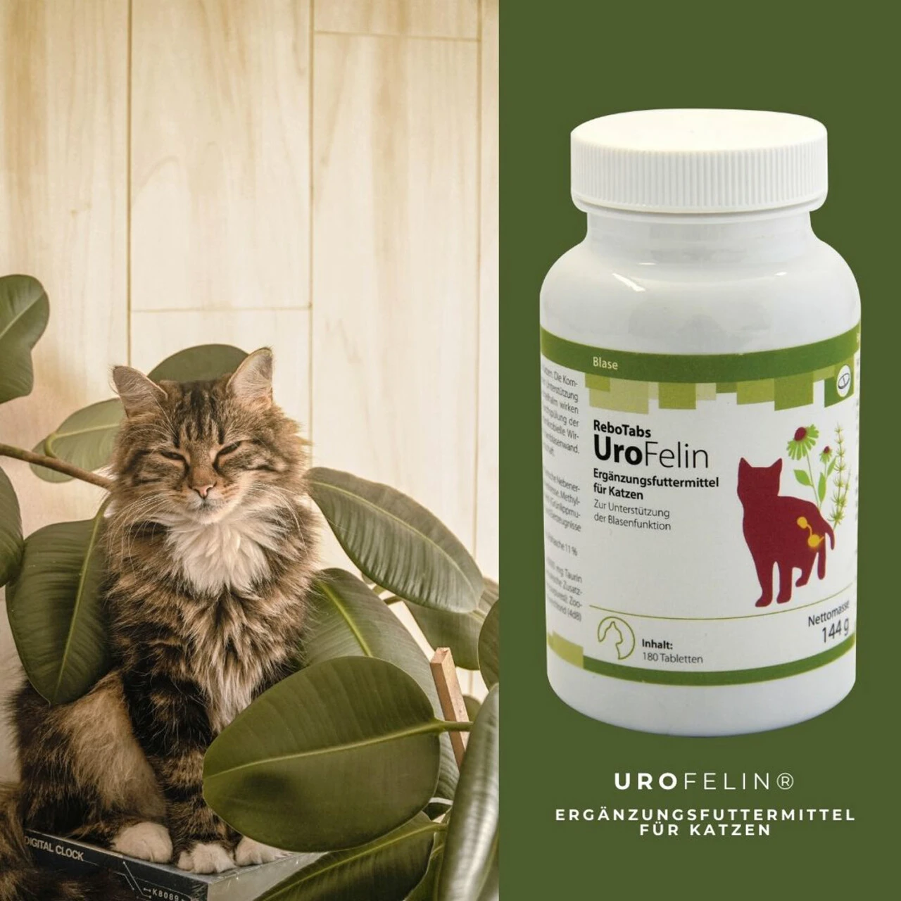 ReboTabs UroFelin Für Katzen 4 ReboTabs UroFelin Für Katzen – Bild 4