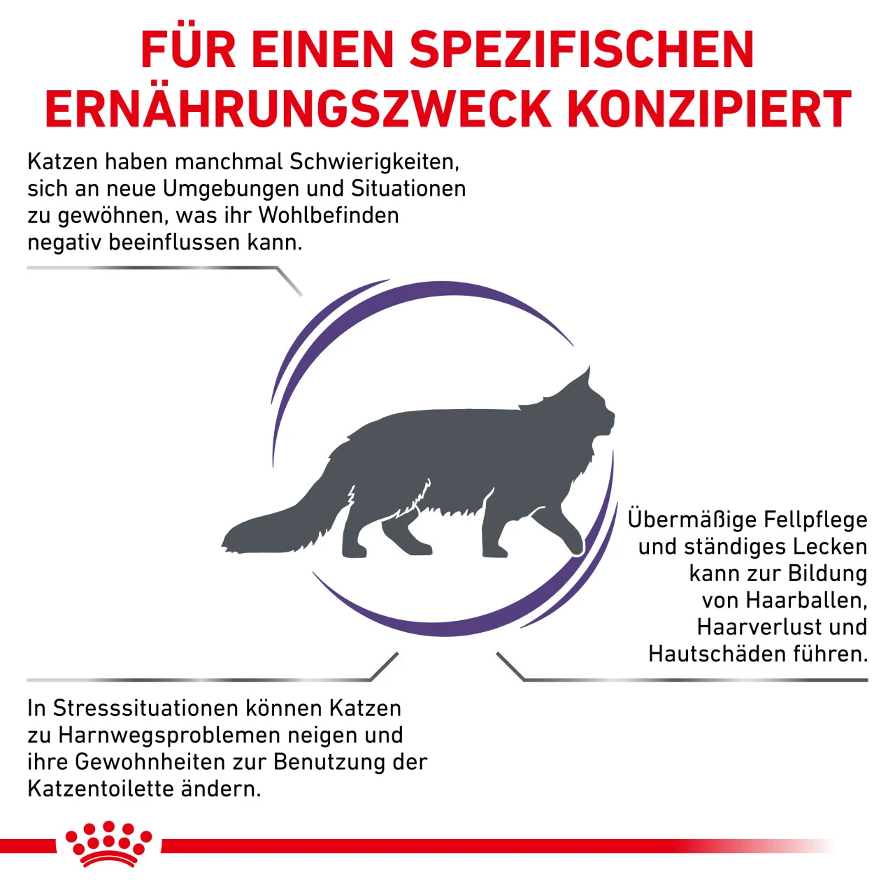 Royal Canin Expert Calm Trockenfutter Für Katzen 3 Royal Canin Expert Calm Trockenfutter Für Katzen – Bild 3