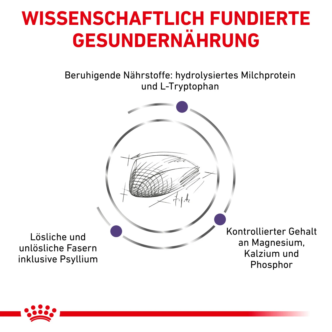 Royal Canin Expert Calm Trockenfutter Für Katzen 4 Royal Canin Expert Calm Trockenfutter Für Katzen – Bild 4