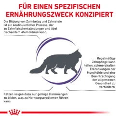 Royal Canin Expert Dental Trockenfutter Für Katzen -Geschäft Für Tierbedarf royal canin dental katze3