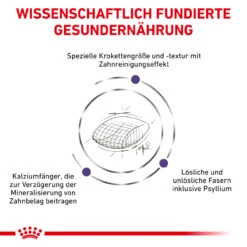 Royal Canin Expert Dental Trockenfutter Für Katzen -Geschäft Für Tierbedarf royal canin dental katze4
