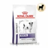 Royal Canin Expert Dental Small Dogs Trockenfutter Für Hunde
