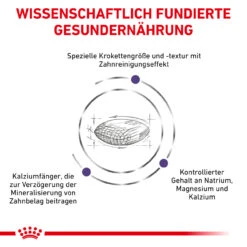 Royal Canin Expert Dental Small Dogs Trockenfutter Für Hunde -Geschäft Für Tierbedarf royal canin dental small dogs4