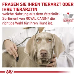 Royal Canin Gastrointestinal High Fibre Trockenfutter Für Hunde -Geschäft Für Tierbedarf royal canin gastro intestinal high fibre hund9