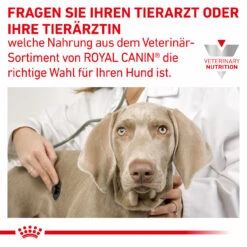 Royal Canin Gastrointestinal Moderate Calorie Trockenfutter Für Hunde -Geschäft Für Tierbedarf royal canin gastro intestinal moderate calorie hund8