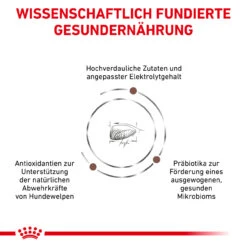 Royal Canin Gastrointestinal Puppy Trockenfutter Für Hunde -Geschäft Für Tierbedarf royal canin gastro intestinal puppy trocken hund6