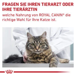 Royal Canin Gastrointestinal Fibre Response Trockenfutter Für Katzen -Geschäft Für Tierbedarf royal canin gastrointestinal fibre response katze10