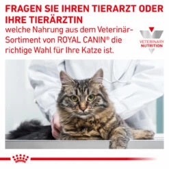 Royal Canin Gastrointestinal Kitten Nassfutter Für Katzen -Geschäft Für Tierbedarf royal canin gastrointestinal kitten nass7