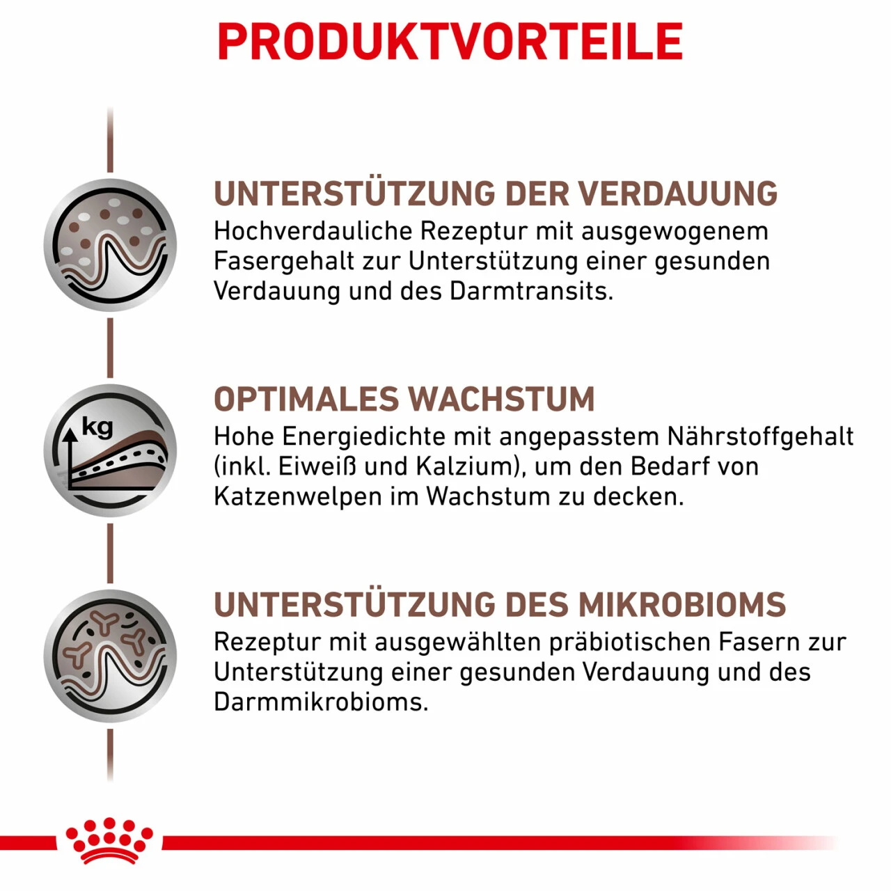 Royal Canin Gastrointestinal Kitten Trockenfutter Für Katzen 3 Royal Canin Gastrointestinal Kitten Trockenfutter Für Katzen – Bild 3