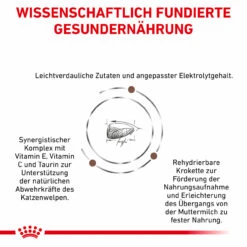 Royal Canin Gastrointestinal Kitten Trockenfutter Für Katzen 11 Royal Canin Gastrointestinal Kitten Trockenfutter Für Katzen -Geschäft Für Tierbedarf royal canin gastrointestinal kitten trocken4