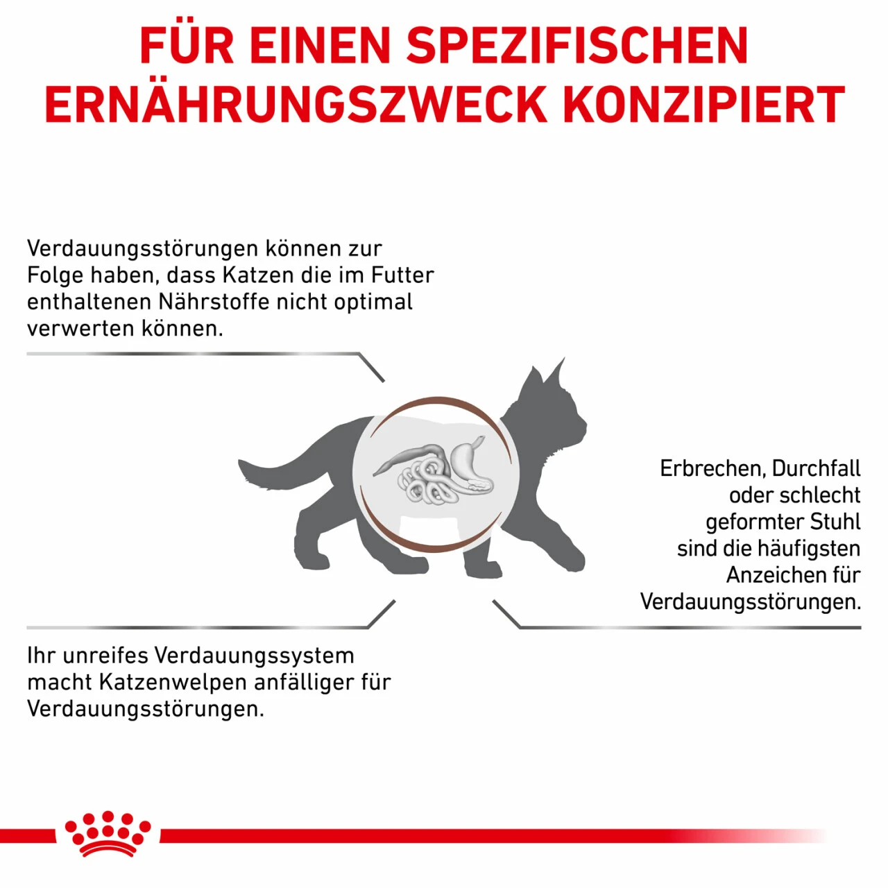 Royal Canin Gastrointestinal Kitten Trockenfutter Für Katzen 5 Royal Canin Gastrointestinal Kitten Trockenfutter Für Katzen – Bild 5