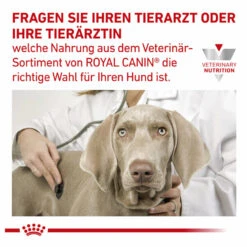 Royal Canin Gastrointestinal Low Fat Small Dogs Trockenfutter Für Hunde -Geschäft Für Tierbedarf royal canin gastrointestinal low fat small dogs trockenfutter hund9