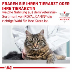 Royal Canin Gastrointestinal Moderate Calorie Trockenfutter Für Katzen 19 Royal Canin Gastrointestinal Moderate Calorie Trockenfutter Für Katzen -Geschäft Für Tierbedarf royal canin gastrointestinal moderate calorie trocken katze10