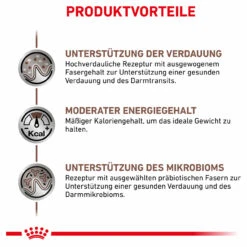 Royal Canin Gastrointestinal Moderate Calorie Trockenfutter Für Katzen 13 Royal Canin Gastrointestinal Moderate Calorie Trockenfutter Für Katzen -Geschäft Für Tierbedarf royal canin gastrointestinal moderate calorie trocken katze4